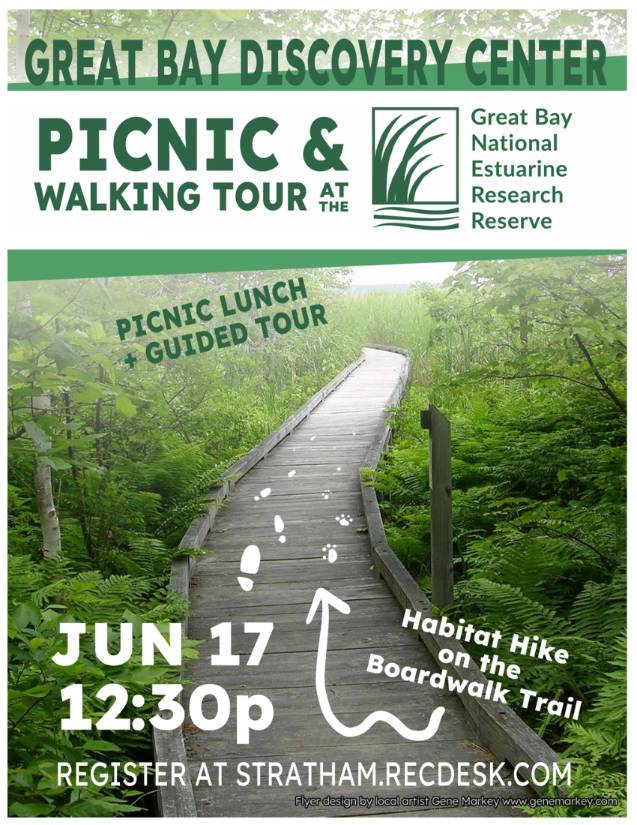 Picnic Walking Tour - Copy